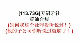 【游戏合集】天沼矛社黄油合集【113.73G】
