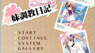 【ADV/GAL】妹调教日记~这样的傲娇才不是我的妹妹【网盘/PC】