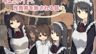 【同人CG集】【生肉免币】 [ひばち製作所] 年上のメイドに性教育を施される話【磁力】
