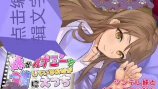 【SLG/安卓】妹妹，一起玩不好吗？【秒传/阿里/241MB】