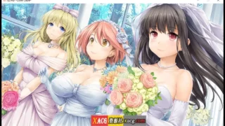 【ADV/官中/l2d全动态】爱立方 LOVE CUBE +反修正补丁【OD/6G】