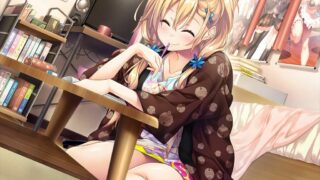 【TY】爱之钥2【度盘/机翻】