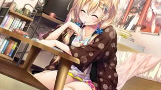 【TY】爱之钥2【度盘/机翻】