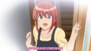 【里番】OVA 催○指導 ＃1~6 熟肉【合集/磁链】