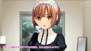 【机翻/动画】可愛めMメイドさんのお仕事SMレッスン ～ご一族に伝わる秘技を、先代様に代わってご伝授いたします