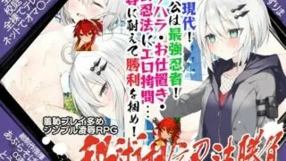 【RPG/PC/日文】秘術相伝忍法勝負【MEGA/256.7MB】