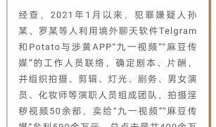 【资讯】上海警方抓获“九一视频”、“麻豆传媒”等涉黄媒体