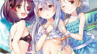 【图集】个人收藏整理图【13443P/5.2G/度盘】