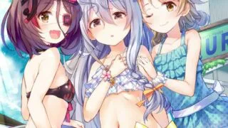 【图集】个人收藏整理图【13443P/5.2G/度盘】