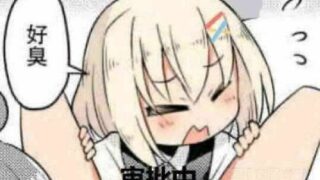 【合集/本子/免币】自收集4【1.1GB】