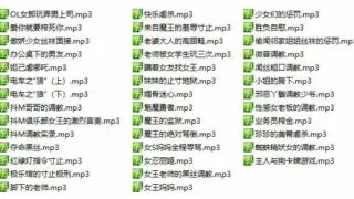 【ASMR】魔王合集 1G