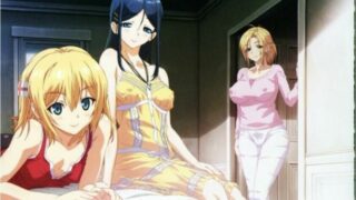 【老游戏/度盘/ADV/汉化/已补档】SISTERS ～夏の最後の日