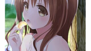 【3D】出包王女 美柑【度盘】