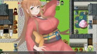 【日系RPG/2D/汉化】 所谓的NPC强奸2-双端汉化版 【2.5G/度盘】