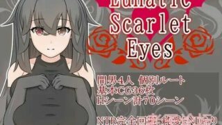 【巨乳/NTR/断面图】Lunatic Scarlet Eyes【1.6G】