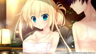 【ADV/汉化/补档】ALIA’s CARNIVAL! Flowering Sky【秒传/3.2GB】