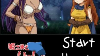 【2D/全动态】姫さまといっしょ【330MB/阿里云】