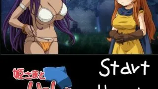【2D/全动态】姫さまといっしょ【330MB/阿里云】