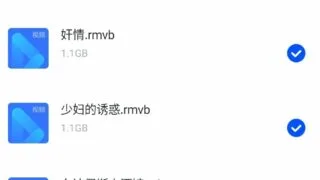 【电影合集】丁度巴拉斯电影合集【迅雷链接】