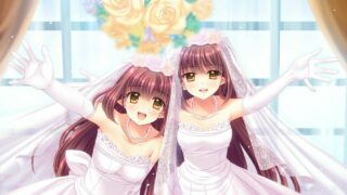 【TY】Princess × Princess【度盘/机翻】