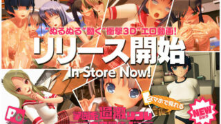 【3D动画】【ぽこもぷれみあむ】闪乱神乐同人合集【秒传/9.2G】