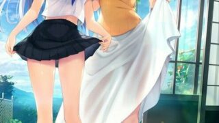 【ADV/汉化】水莲和紫苑【秒传】