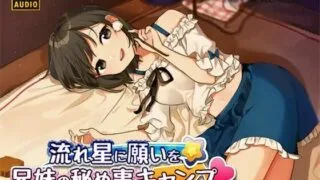 【汉化音声】【陽向葵ゅか】流れ星に願いを★兄妹の秘め事キャンプ ～素直になれない妹は大好きなお兄ちゃんについつい意地悪しちゃうの～【RJ230140】【纯爱小课堂第十期】【度盘/430MB】【MP3】】