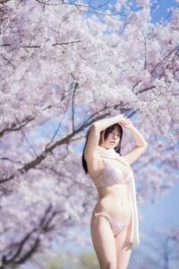 【写真】[六味帝皇酱]樱花JK 【度盘/秒传】