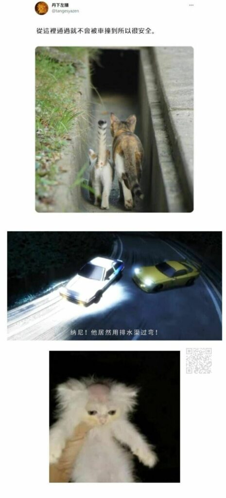 【每日图一乐】幻视啊，都是幻视啊【超大量】【一次满足】 — 第 23 张