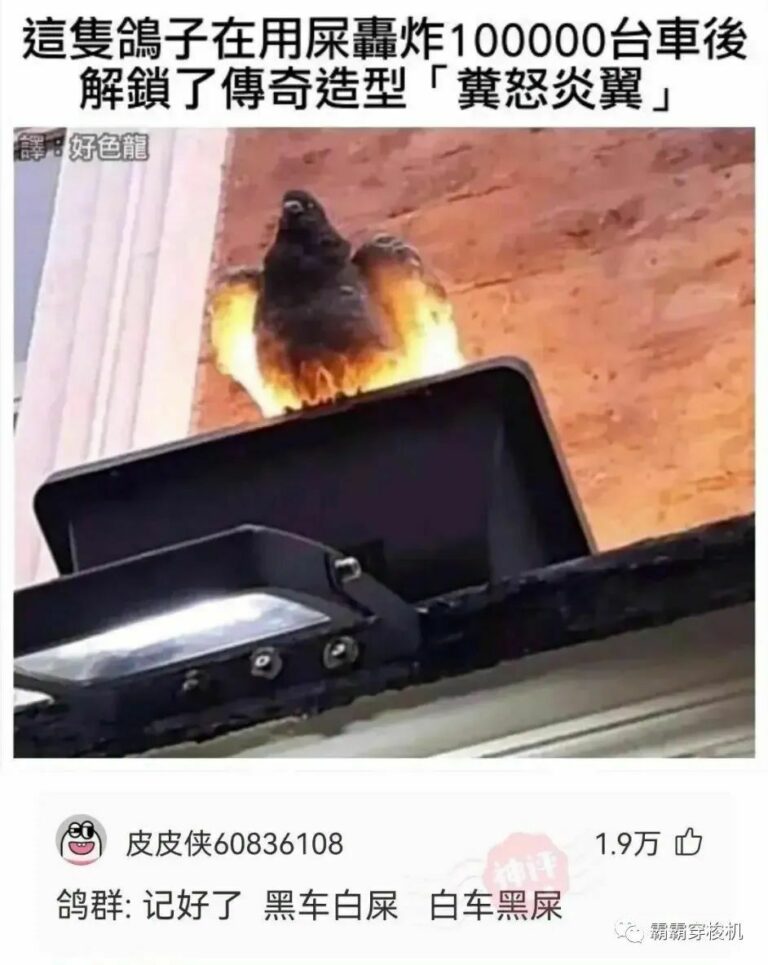 【每日图一乐】幻视啊，都是幻视啊【超大量】【一次满足】 — 第 16 张