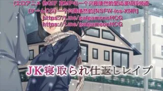 【熟肉/里番】jk的寝取报复720p【度盘】