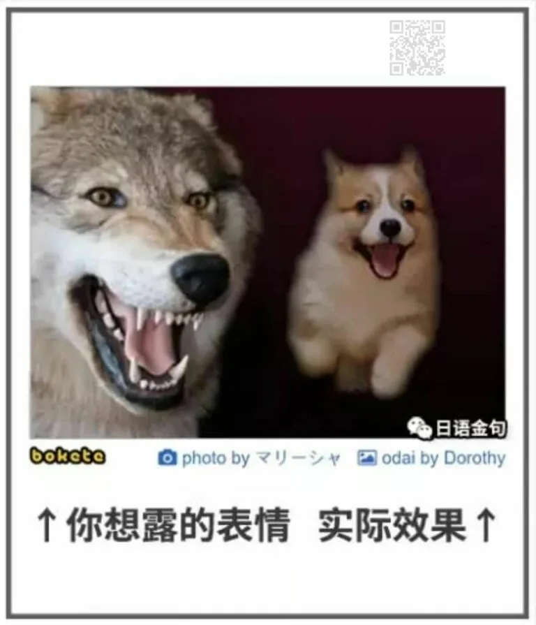 【每日图一乐】掩护我们的是坦克啊 — 第 3 张