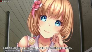 【熟肉/里番】灵jian少女720p【度盘】