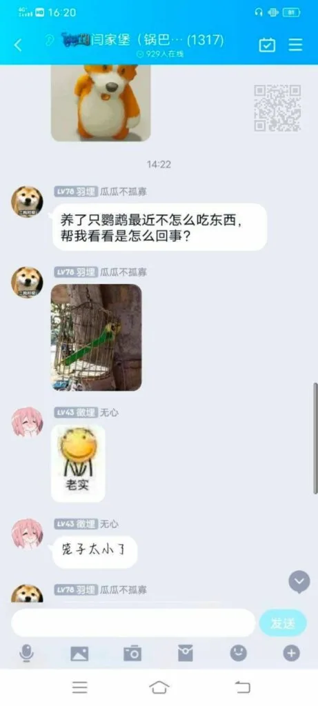 【每日图一乐】掩护我们的是坦克啊 — 第 13 张
