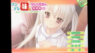 【机翻/krkr】ツンデレ妹は孕ませ希望の発情期！？～責任とって中に出してよね！変態おにぃ！～