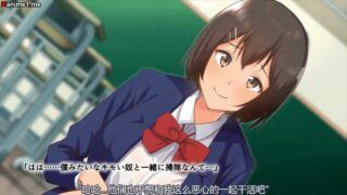 【熟肉/里番】催眠复仇720p【度盘】