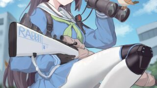 【P站R18图集】拉姬兔霞沢ミユ 【网盘/400M】
