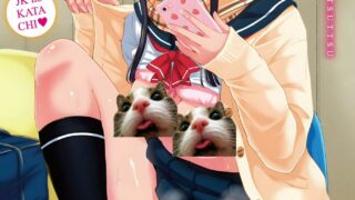 【本子】【Tsuttsu】 JK no Katachi   JK之形形色色♡  431M【度盘】