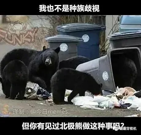 【每日图一乐】封站期间存货 — 第 13 张