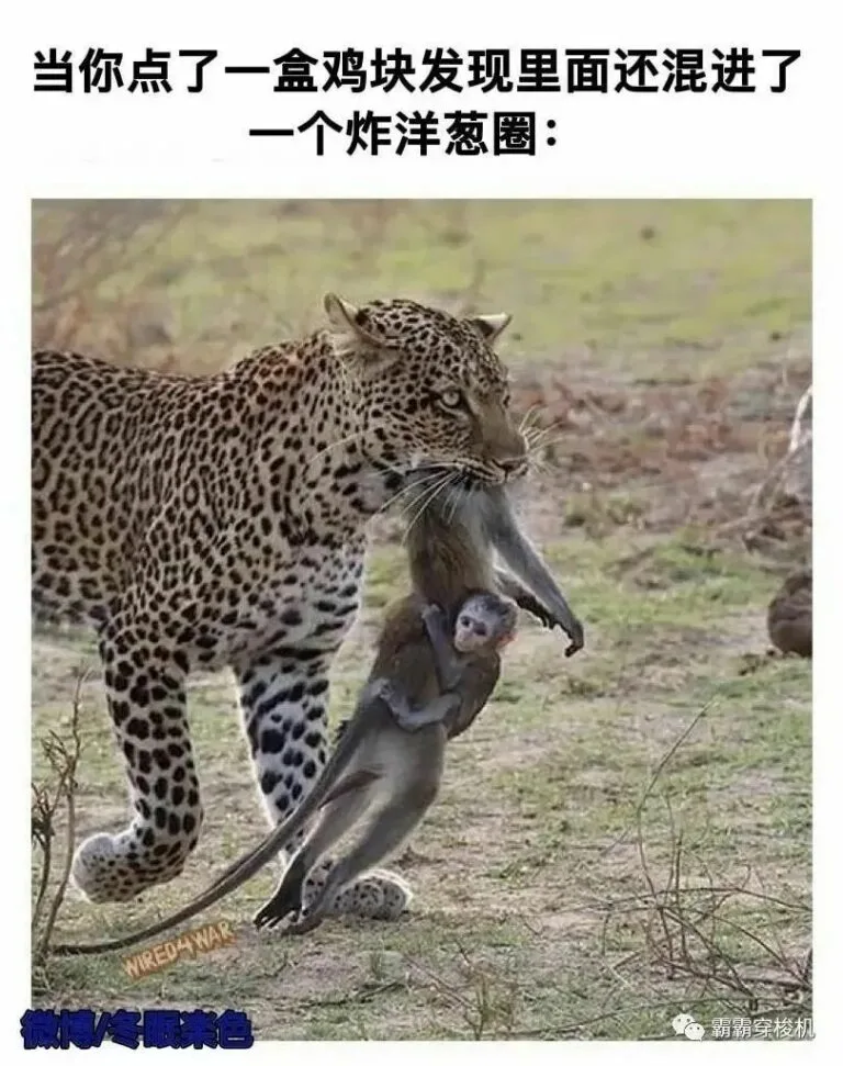 【每日图一乐】封站期间存货 — 第 24 张