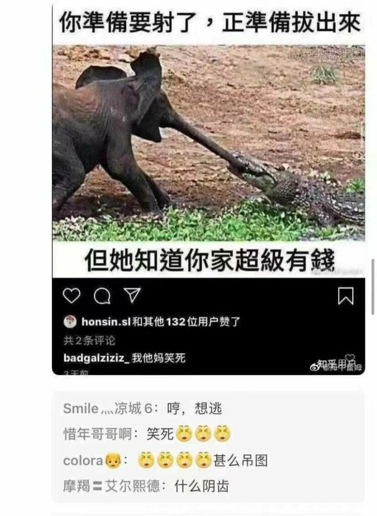 【每日图一乐】到底谁是中国人，有时候我自己也搞不明白 — 第 14 张