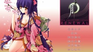 【Galgame/汉化/经典老作/附CG】无颜之月(颜のない月)【度盘+阿里云盘+天翼云盘+OneDrive 1.61GB】