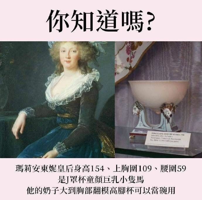 【每日图一乐】给予女拳崇高的制裁吧 — 第 19 张