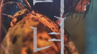 【电影】魔女2【磁力】