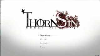 【ACT/全动态】神作预定：棘罪修女-伊妮莎 ThornSin V0.04【新作/白丝高跟/910M】