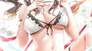 【画师CG集/kyariko（きゃりこ）】2021年2月~2022年5月CG投稿合集【秒传/239MB】