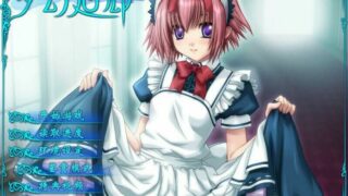 【PC汉化】夢幻廻廊【秒传】