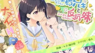 【RPG/新作】童貞兄妹 ガマンができない童貞アニキとスナオになれない反抗妹【度盘】