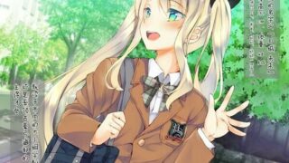 【本子】玩弄凛然的高傲金发双马尾少女 【462P+312MB】