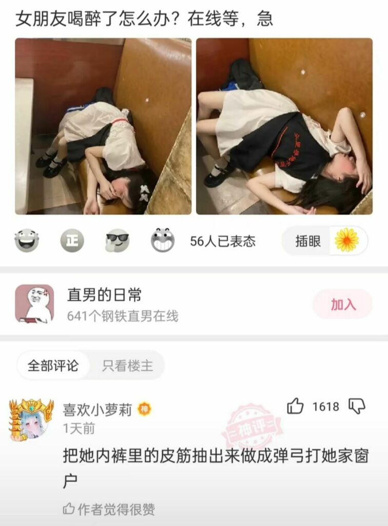 【每日图一乐】给予女拳崇高的制裁吧 — 第 27 张